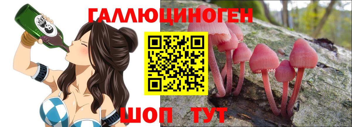 Галлюциногенные грибы Psilocybe Камень-на-Оби