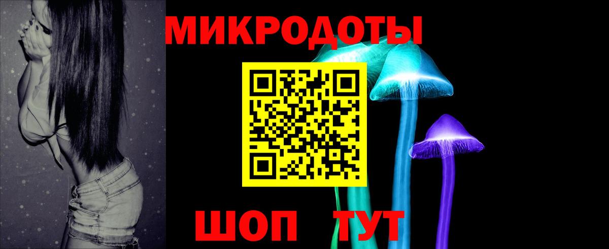 Камень-на-Оби  Галлюциногенные грибы Magic Shrooms  Галлюциногенные грибы Psilocybine cubensis  Вход с VPN 